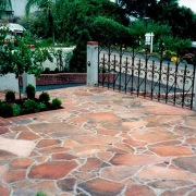 Arizona-Mossback-Patio