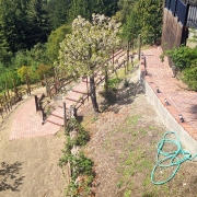 Steps-through-Vinyard