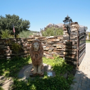 Picture-770